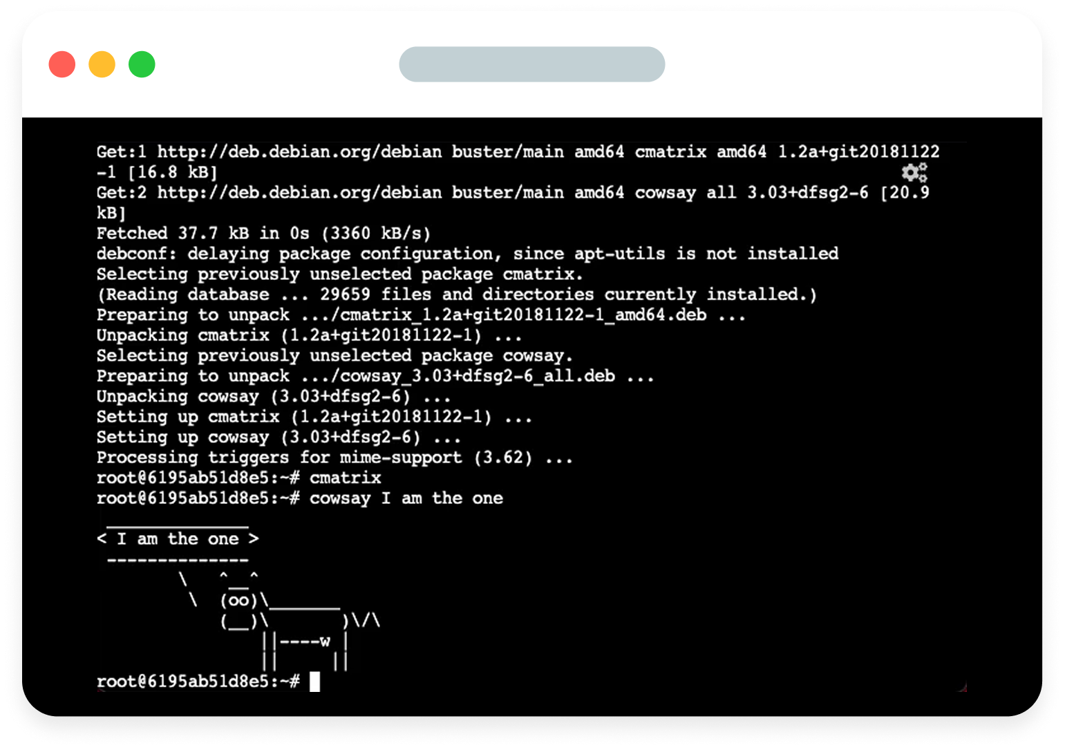 Flexible hosting options
