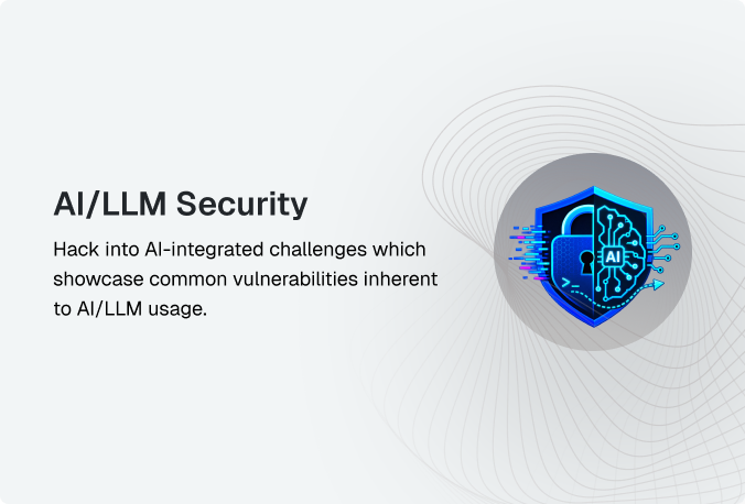 AI/LLM Security
